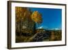 Mount Denali, previously known as McKinley from Wonder Lake, Denali National Park, Alaska-null-Framed Photographic Print