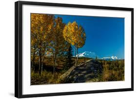 Mount Denali, previously known as McKinley from Wonder Lake, Denali National Park, Alaska-null-Framed Photographic Print