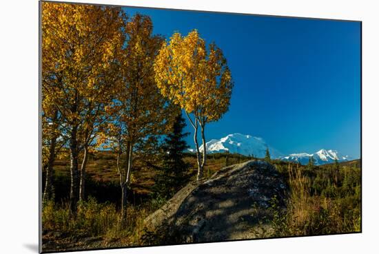 Mount Denali, previously known as McKinley from Wonder Lake, Denali National Park, Alaska-null-Mounted Photographic Print