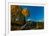 Mount Denali, previously known as McKinley from Wonder Lake, Denali National Park, Alaska-null-Framed Photographic Print