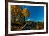 Mount Denali, previously known as McKinley from Wonder Lake, Denali National Park, Alaska-null-Framed Photographic Print