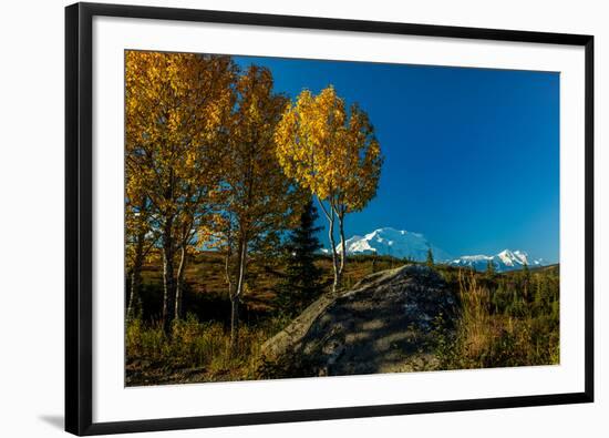 Mount Denali, previously known as McKinley from Wonder Lake, Denali National Park, Alaska-null-Framed Photographic Print