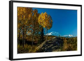 Mount Denali, previously known as McKinley from Wonder Lake, Denali National Park, Alaska-null-Framed Photographic Print