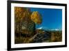 Mount Denali, previously known as McKinley from Wonder Lake, Denali National Park, Alaska-null-Framed Photographic Print