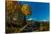 Mount Denali, previously known as McKinley from Wonder Lake, Denali National Park, Alaska-null-Stretched Canvas