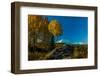 Mount Denali, previously known as McKinley from Wonder Lake, Denali National Park, Alaska-null-Framed Photographic Print