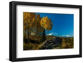 Mount Denali, previously known as McKinley from Wonder Lake, Denali National Park, Alaska-null-Framed Photographic Print