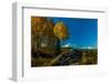 Mount Denali, previously known as McKinley from Wonder Lake, Denali National Park, Alaska-null-Framed Photographic Print