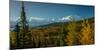 Mount Denali, previously known as McKinley from Wonder Lake, Denali National Park, Alaska-null-Mounted Photographic Print