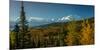 Mount Denali, previously known as McKinley from Wonder Lake, Denali National Park, Alaska-null-Mounted Photographic Print