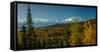 Mount Denali, previously known as McKinley from Wonder Lake, Denali National Park, Alaska-null-Framed Stretched Canvas