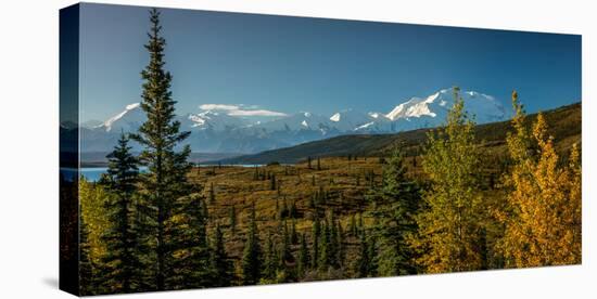 Mount Denali, previously known as McKinley from Wonder Lake, Denali National Park, Alaska-null-Stretched Canvas