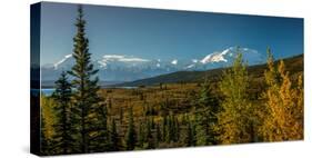 Mount Denali, previously known as McKinley from Wonder Lake, Denali National Park, Alaska-null-Stretched Canvas