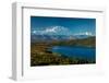 Mount Denali, previously known as McKinley from Wonder Lake, Denali National Park, Alaska-null-Framed Photographic Print