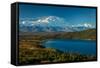 Mount Denali, previously known as McKinley from Wonder Lake, Denali National Park, Alaska-null-Framed Stretched Canvas