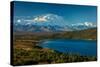 Mount Denali, previously known as McKinley from Wonder Lake, Denali National Park, Alaska-null-Stretched Canvas