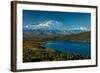 Mount Denali, previously known as McKinley from Wonder Lake, Denali National Park, Alaska-null-Framed Photographic Print