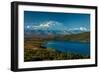 Mount Denali, previously known as McKinley from Wonder Lake, Denali National Park, Alaska-null-Framed Photographic Print