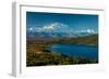 Mount Denali, previously known as McKinley from Wonder Lake, Denali National Park, Alaska-null-Framed Photographic Print