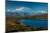 Mount Denali, previously known as McKinley from Wonder Lake, Denali National Park, Alaska-null-Mounted Photographic Print