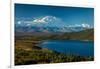 Mount Denali, previously known as McKinley from Wonder Lake, Denali National Park, Alaska-null-Framed Photographic Print