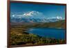 Mount Denali, previously known as McKinley from Wonder Lake, Denali National Park, Alaska-null-Framed Photographic Print