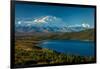 Mount Denali, previously known as McKinley from Wonder Lake, Denali National Park, Alaska-null-Framed Photographic Print