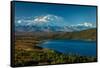 Mount Denali, previously known as McKinley from Wonder Lake, Denali National Park, Alaska-null-Framed Stretched Canvas