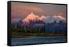 Mount Denali, previously known as McKinley from Wonder Lake, Denali National Park, Alaska-null-Framed Stretched Canvas
