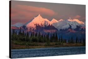 Mount Denali, previously known as McKinley from Wonder Lake, Denali National Park, Alaska-null-Stretched Canvas