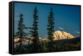 Mount Denali, previously known as McKinley from Wonder Lake, Denali National Park, Alaska-null-Framed Stretched Canvas