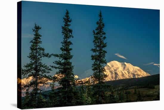 Mount Denali, previously known as McKinley from Wonder Lake, Denali National Park, Alaska-null-Stretched Canvas