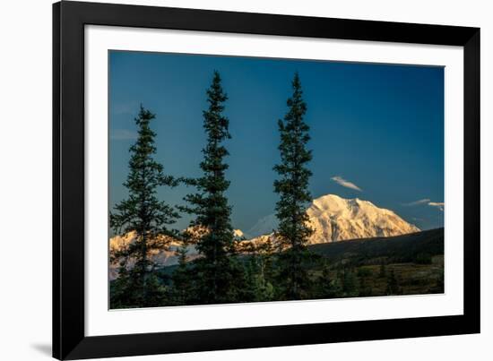 Mount Denali, previously known as McKinley from Wonder Lake, Denali National Park, Alaska-null-Framed Photographic Print