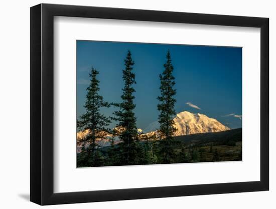 Mount Denali, previously known as McKinley from Wonder Lake, Denali National Park, Alaska-null-Framed Photographic Print