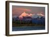 Mount Denali, previously known as McKinley from Wonder Lake, Denali National Park, Alaska-null-Framed Photographic Print