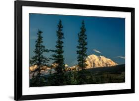 Mount Denali, previously known as McKinley from Wonder Lake, Denali National Park, Alaska-null-Framed Photographic Print