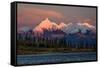 Mount Denali, previously known as McKinley from Wonder Lake, Denali National Park, Alaska-null-Framed Stretched Canvas