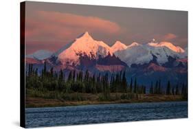 Mount Denali, previously known as McKinley from Wonder Lake, Denali National Park, Alaska-null-Stretched Canvas