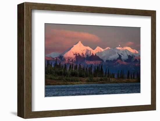 Mount Denali, previously known as McKinley from Wonder Lake, Denali National Park, Alaska-null-Framed Photographic Print