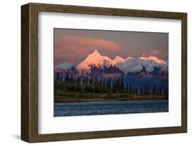 Mount Denali, previously known as McKinley from Wonder Lake, Denali National Park, Alaska-null-Framed Photographic Print