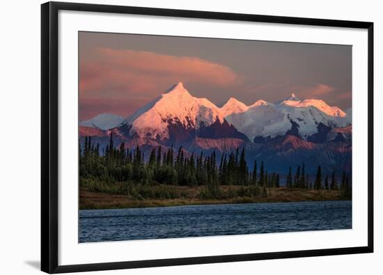 Mount Denali, previously known as McKinley from Wonder Lake, Denali National Park, Alaska-null-Framed Photographic Print