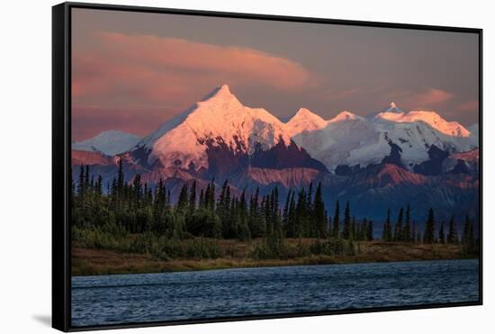 Mount Denali, previously known as McKinley from Wonder Lake, Denali National Park, Alaska-null-Framed Stretched Canvas