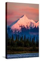Mount Denali, previously known as McKinley from Wonder Lake, Denali National Park, Alaska-null-Stretched Canvas