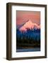 Mount Denali, previously known as McKinley from Wonder Lake, Denali National Park, Alaska-null-Framed Photographic Print