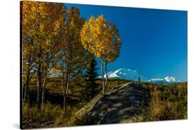 Mount Denali, previously known as McKinley from Wonder Lake, Denali National Park, Alaska-null-Stretched Canvas