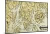 Mount Desert Island And Coast Of Maine - Panoramic Map-null-Mounted Poster