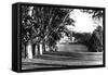 Mount Edgcumbe, C1882-null-Framed Stretched Canvas