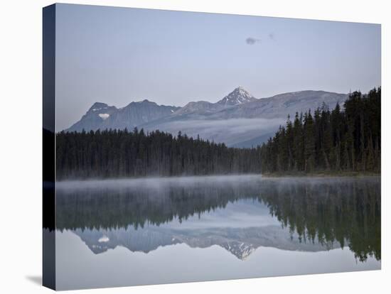 Mount Edith Cavell in Leach Lake, Jasper Nat'l Park, UNESCO World Heritage Site, Alberta, Canada-James Hager-Stretched Canvas