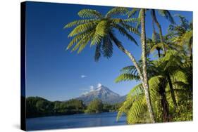 Mount Egmont Lake, Tree Ferns and Perfectly Cone-Shaped-null-Stretched Canvas