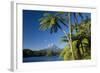 Mount Egmont Lake, Tree Ferns and Perfectly Cone-Shaped-null-Framed Photographic Print